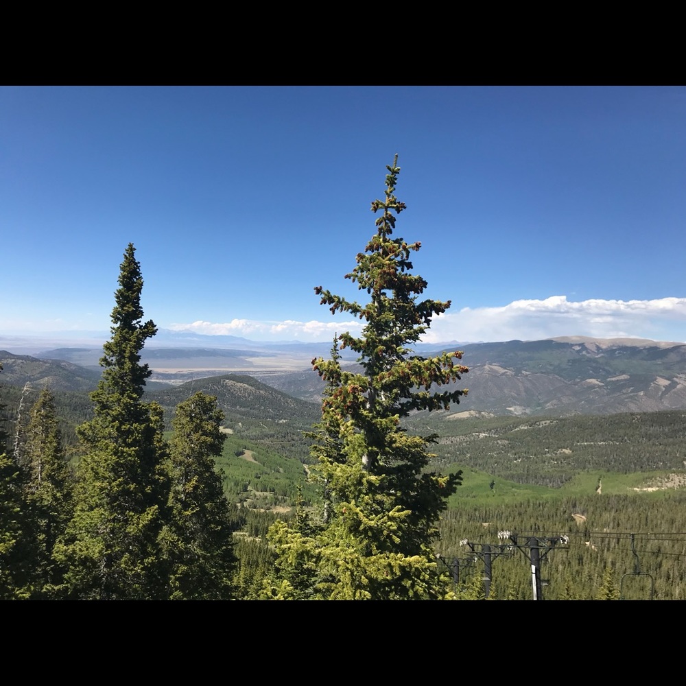 Meet your Posher, Ash